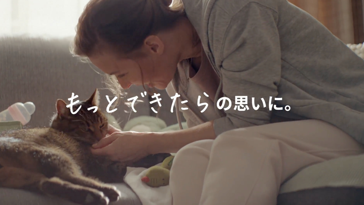 ヒルズ プリスクリプションダイエット キャットフード y/d ワイディー